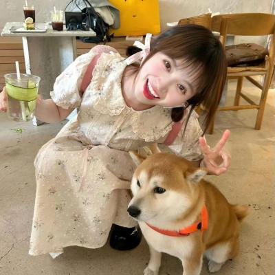 选举风暴