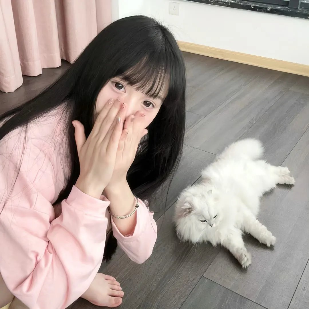 吸血鬼马上死第二季