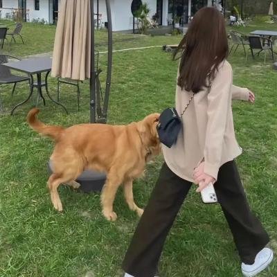疯狂忘年交